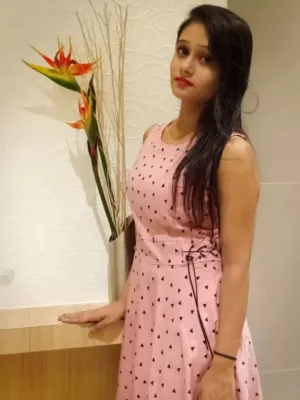 Delhi Low Price High Profile College