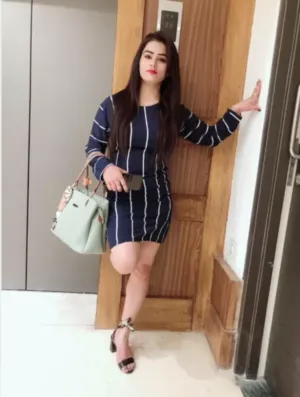 Cheap Price Call Girl Smriti North Delhi